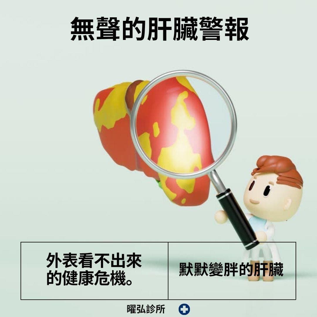脂肪肝 —【無聲的肝臟警報】外表看不出來的健康危機‼️
